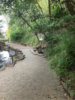 和田山の登城記録(監督さん)