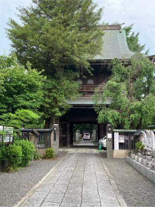 高安寺城の登城記録(監督さん)