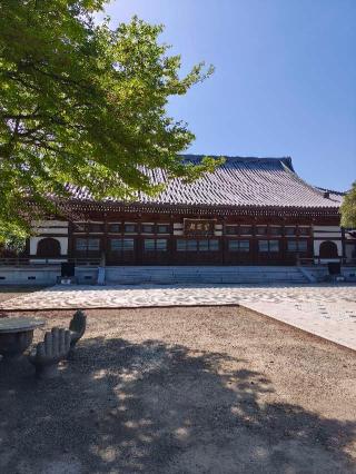 立川氏館の登城記録(マリリさん)