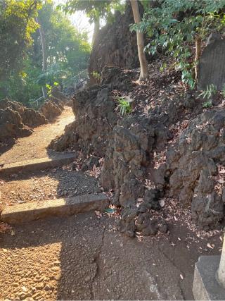 新井宿城の登城記録(監督さん)