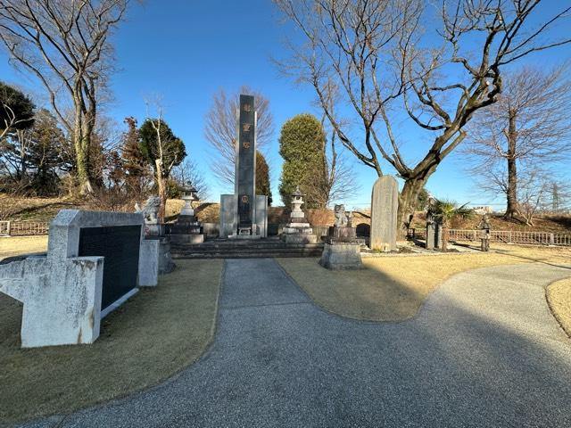 栃木県小山市城山町１丁目１ 小山城(祇園城)の写真6