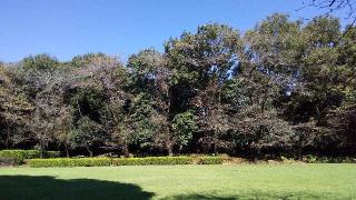 小山城の登城記録(ひろ神社仏閣さん)