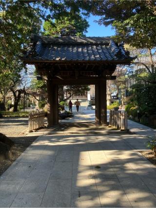 瀬田城（長崎館）の登城記録(監督さん)