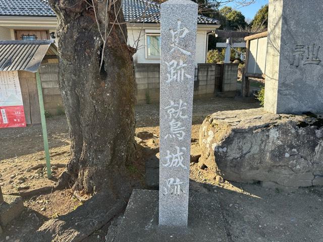 栃木県小山市外城２７２ 鷲城の写真2