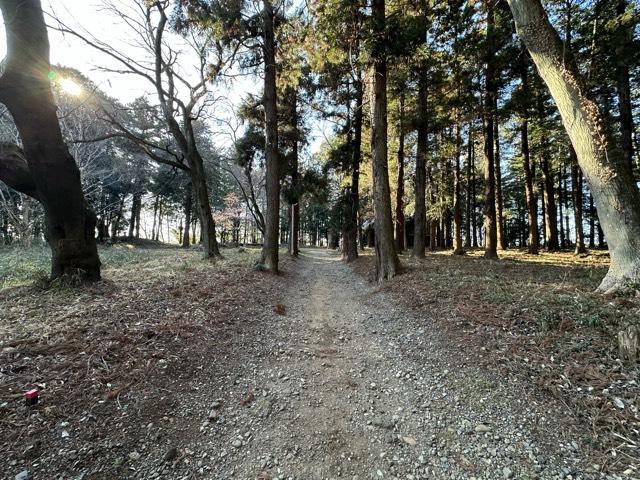 栃木県小山市外城２７２ 鷲城の写真5