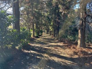 鷲城の登城記録(清正さん)