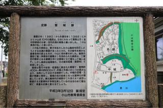 鷲城の登城記録(こにーさん)