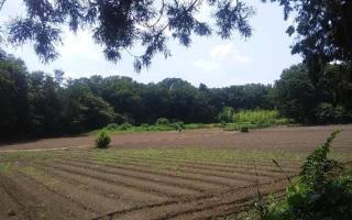 鷲城の登城記録(けいいちさん)