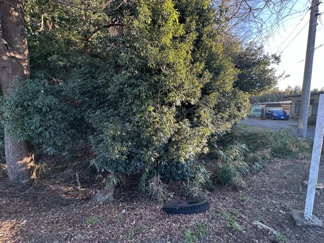 栃木県小山市中久喜４３−９ 中久喜城の写真3