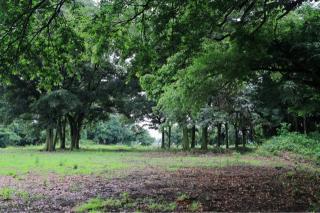 中久喜城の登城記録(こにーさん)