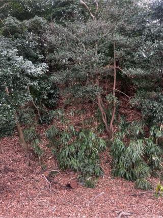 中久喜城の登城記録(やさかさん)