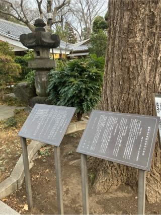 大蔵館の登城記録(監督さん)