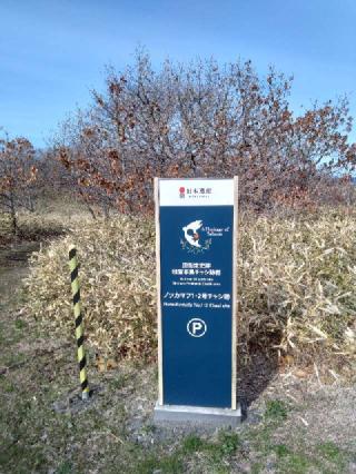 ノッカマフチャシの登城記録(タケローさん)