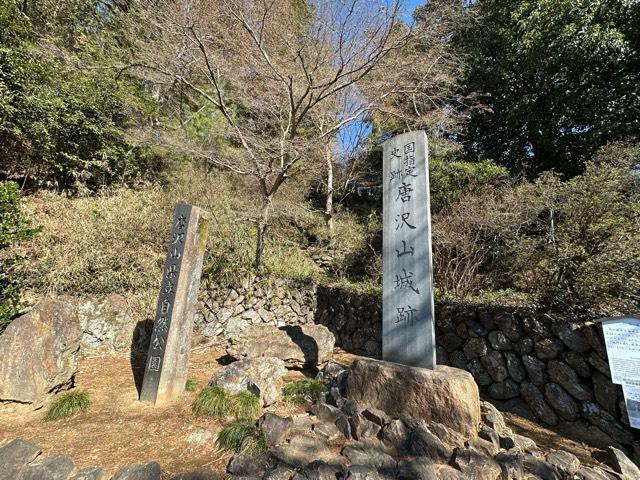 栃木県佐野市富士町１４０９ 唐沢山城の写真2