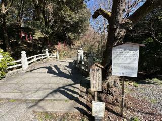 唐沢山城の登城記録(清正さん)