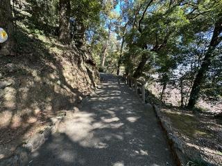 唐沢山城の登城記録(清正さん)