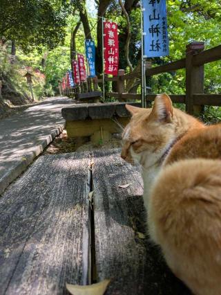 唐沢山城の登城記録(まるさん)
