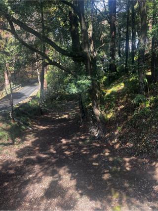 唐沢山城の登城記録(やさかさん)