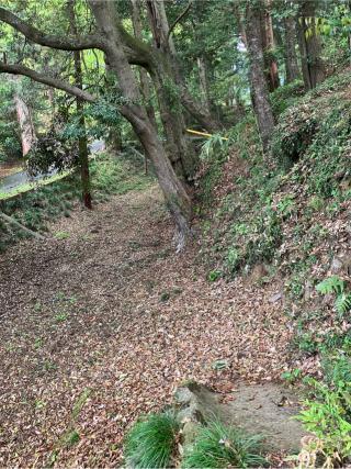 唐沢山城の登城記録(監督さん)