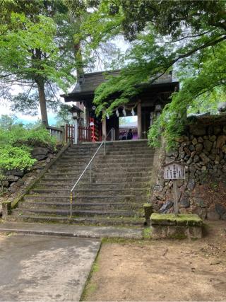 唐沢山城の登城記録(監督さん)