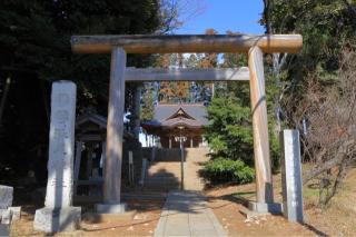 武田氏館の登城記録(こにーさん)