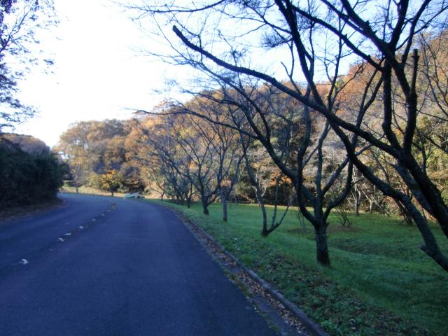 多良崎城の写真1