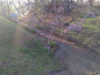 佐野城の登城記録(優雅さん)