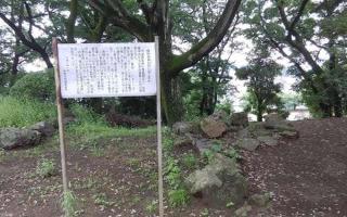 佐野城の登城記録(けいいちさん)