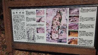 佐野城の登城記録(洸あきらさん)