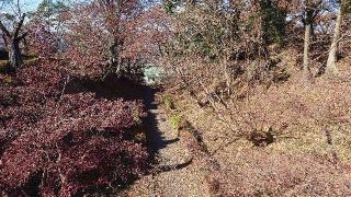 佐野城の登城記録(洸あきらさん)