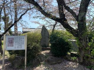 目賀田城の登城記録(くーさん)