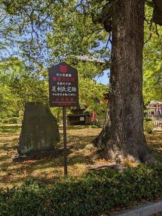 足利氏館の登城記録(まるさん)