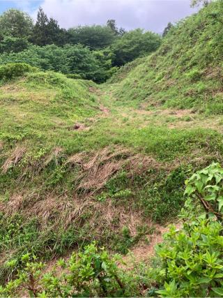 皆川城の登城記録(監督さん)