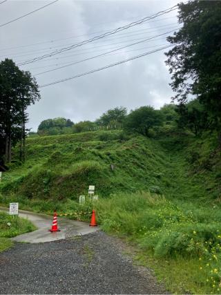 皆川城の登城記録(監督さん)