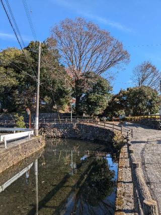 栃木城の登城記録(足軽2024さん)