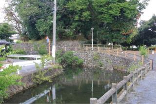 栃木城の登城記録(こにーさん)