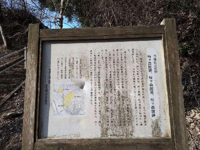 宮城県東松島市小野裏丁９２ 小野城(梅ヶ森館)の写真2