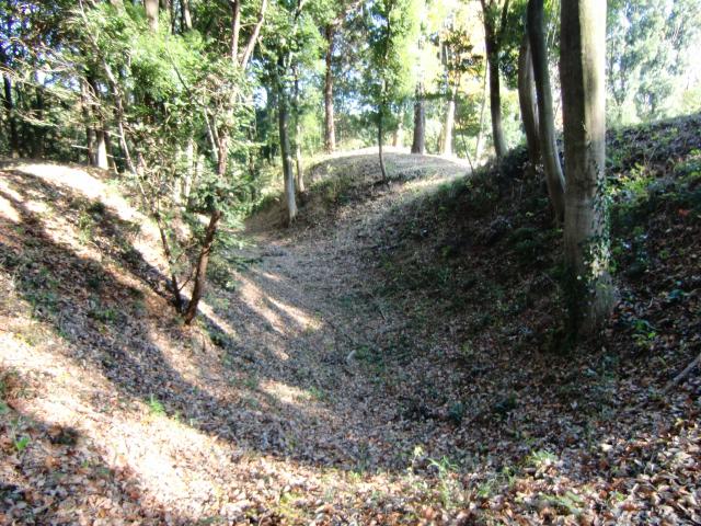 茨城県牛久市小坂町２００６−９８ 小坂城の写真1