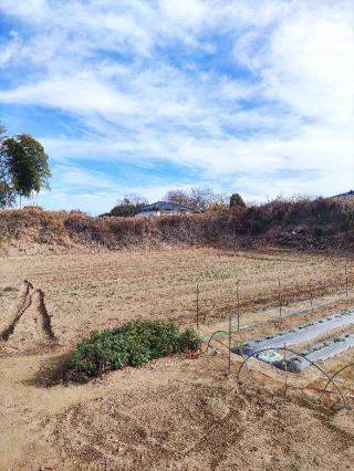 赤堀城の登城記録(マリリさん)