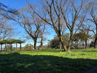 川崎城の登城記録(まさかずさん)