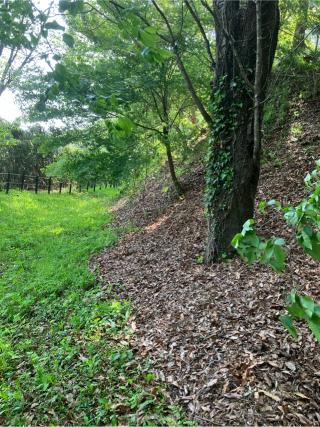 川崎城の登城記録(監督さん)