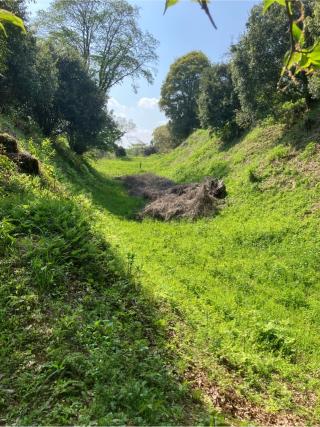 川崎城の登城記録(監督さん)