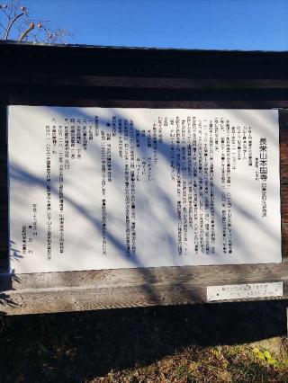 下山城の登城記録(マリリさん)