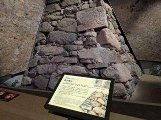 豊臣大阪城の登城記録(ポッキーさん)