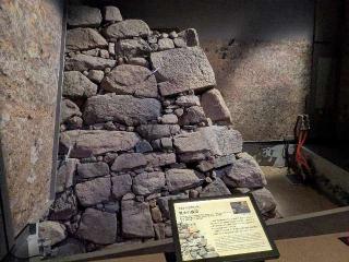 豊臣大阪城の登城記録(ポッキーさん)