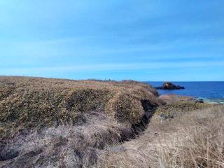 サツコタンチャシの登城記録(タケローさん)