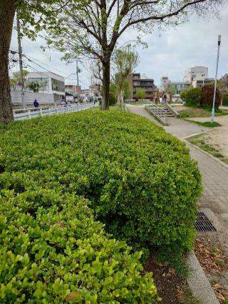 寺岡砦の登城記録(気分は上昇さん)