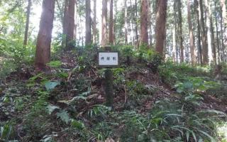 烏山城の登城記録(けいいちさん)