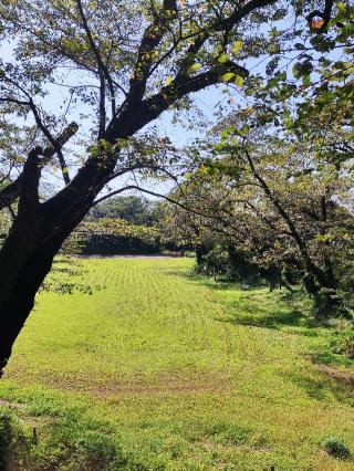 大田原城の登城記録(マリリさん)