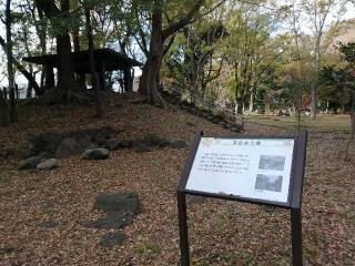 飛鳥山城の登城記録(けいいちさん)